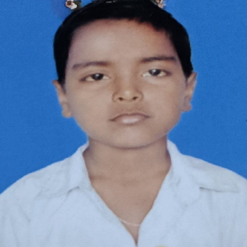 BISWAJIT HALDER